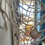 Il Rifugio Sul Mare - Genovainrelax Apartamento Génova